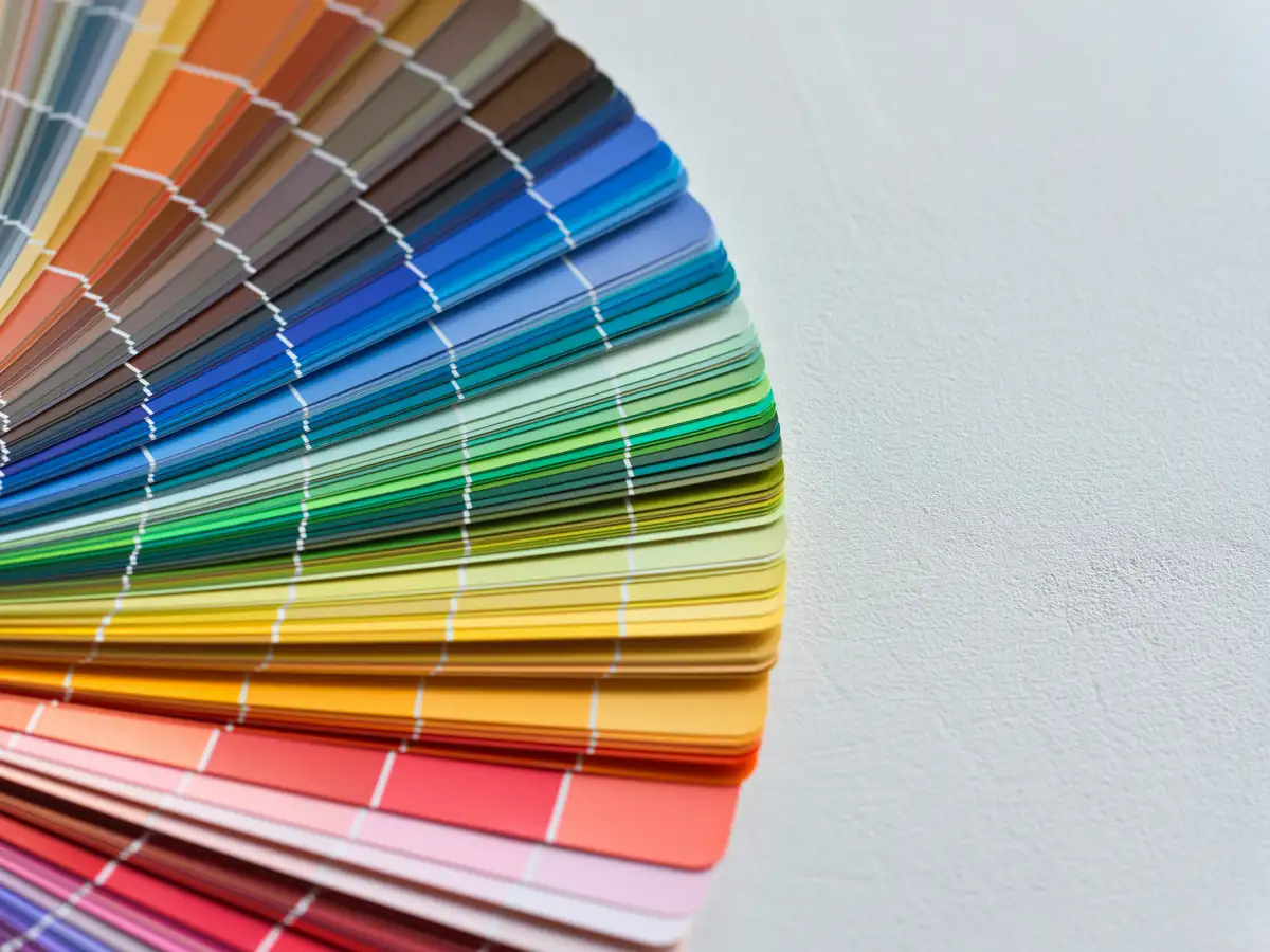 Color Consultation